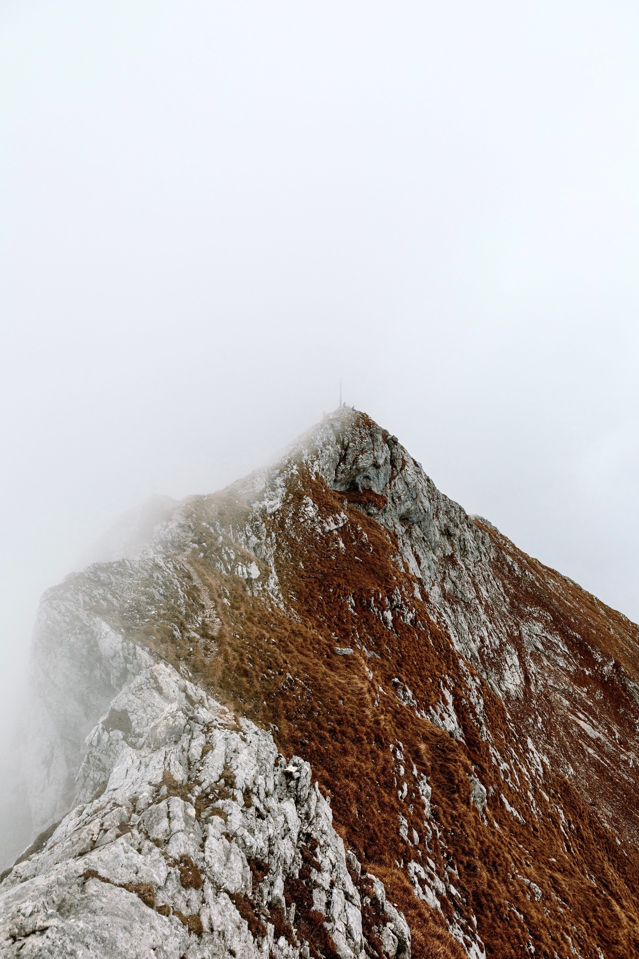 credits: Pexels - Andreas Ebner